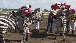 Canterbury Park Extreme Day 7-15-17