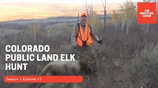 S: 1 E: 13 - Colorado Public Land Elk Hunt