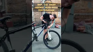 Параллельные миры👀