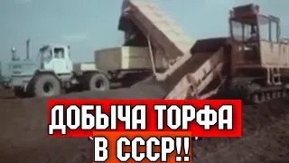 ХРОНИКА СССР!1983 ГОД! ДОБЫЧА ТОРФА В СССР!!