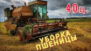 УБОРКА ПШЕНИЦЫ 2022! 40ц. с гектара!? Рекордные урожаи нашего региона.