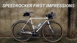 Pros and Cons of Bike Fenders // SKS Speedrocker First Impressions