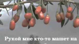 Ольга Зарубина - По ягоды