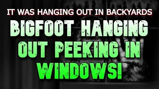 BIGFOOT HANGING OUT PEEKING IN WINDOWS!