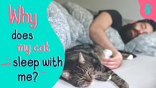 Why Does My Cat Sleep With Me? | Furry Feline Facts