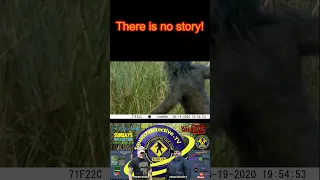 Bigfoot Caught on Trail Cam ? - Bigfoot Video