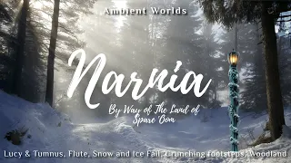 Narnia Winter | Ambient Worlds [1hr+]