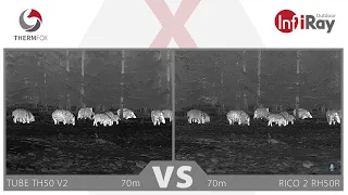 InfiRay TEST - TUBE TH50 V2 vs. RICO 2 RH50R #wildboar #thermalimaging  @InfiRayOutdoor