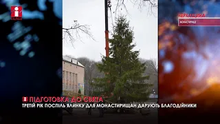 У Монастирищі вже встановили головну ялинку міста