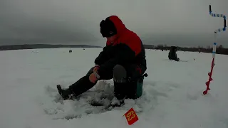 Чемпионат Ивановской области по ловле рыбы на мормышку со льда 02 02 2020