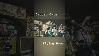 Dapper Cats/Flying Home