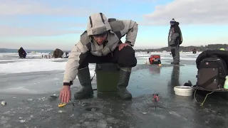 Ловля зимней ПЛОТВЫ со льда.