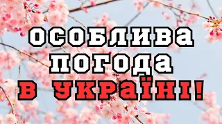 Погоду в Україні визначатиме антициклон, - синоптик Діденко