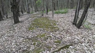 Another massive Serpent effigy Mound discovered in NORTHERN Ohio
