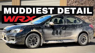 Deep Cleaning The Muddiest WRX EVER! | Satisfying DISASTER Detail Transformation! (ASMR)