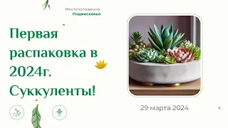 Распаковка посылки из магазина succulent.market от Вихаревой Екатерины из Санкт-Петербурга