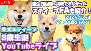 【5/8LIVE】スティーブ生誕祭ライブ☆掲載しきれなかったスティーブFAもご紹介！