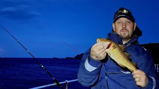 Whitby East Pier Fishing For Cod