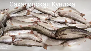 Рыбалка , просто огонь 🔥. Осенняя кунджа.