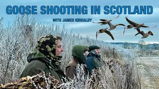 Goose Hunting !!! Decoying Geese In Scotland On A Cold Frosty Morning,