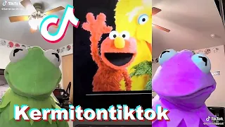 Best KermitOnTikTok TikToks of 2021 | Funny Kermit On TikTok Videos