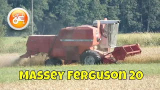 Harvest 2022 | Massey Ferguson 20 combine working