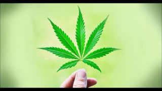 The Marijuana Song - Hallelujah Remix