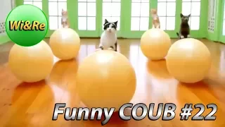 Funny COUB Style #22 ⁄⁄Лучшее в Coub  ПРИКОЛЫ Best Coub