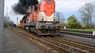 "Дал Медведя" Тепловоз 742 (T 466.2) с хозяйственным поездом