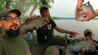 Рибу ловимо руками, ото намішав прикормку ●  RoMaX Fishing ●