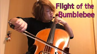 プロが弾く“熊蜂の飛行”が超絶すぎた2020 by 西方正輝 Cello“Flight of Bumblebee”　Rimsky-Korsakov