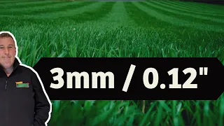 A masterclass on cutting grass extremely short – how low can grass be cut