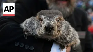 Groundhog Day: How did it all start?