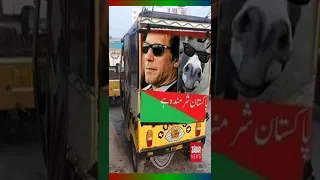 PMLN Memes Against PTI | Imran Khan | #shorts