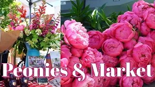 Dry Storing Peonies | Spring Flower Bar | Our 1st Farmers Market | Vlog