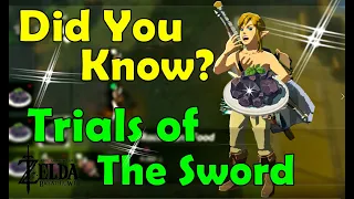 Tips for Trials of The Sword Zelda Breath of The Wild