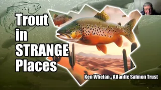 Professor Ken Whelan's Extraordinary Wild Trout Adaptations: From High Andes to South Indian Ocean