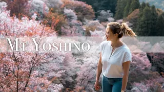 Mt Yoshino in Cherry Blossom Season