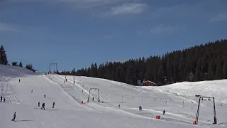 Webcam Strobl - Postalm: Winterpark Postalm