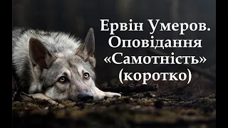 Стислий переказ оповідання "Самотність". Біографія автора, Ервіна Умерова.