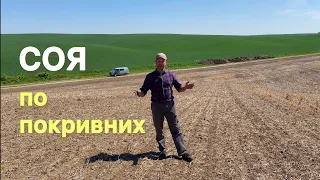 Соя після покривних культур