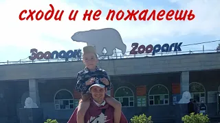 Санкт-Петербург 2024. Экскурсия по зоопарку.