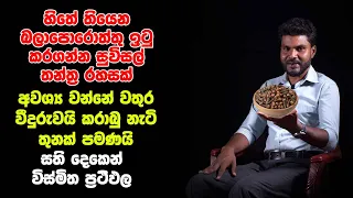 හිතේ තියෙන බලාපොරොත්තු ඉටු කරගන්න තන්ත්‍ර රහසක් - අවශ්‍ය වන්නේ වතුර වීදුරුවයි කරාබු නැටි තුනක් පමණයි