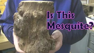 MESQUITE! 👀 Or NOT? - Wood Turning