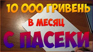 Бизнес идея. 400$ в месяц с пасеки. Сколько надо ульев с пчелами чтобы зарабатывать