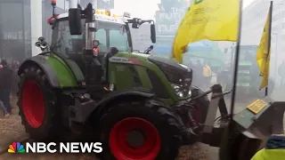 Video shows farmers driving tractors into Brussels as part of a protest