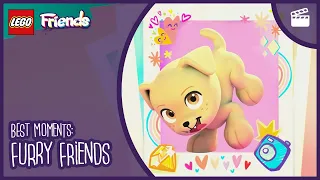 LEGO Friends: The Next Chapter | Best Moments | Furry Friends