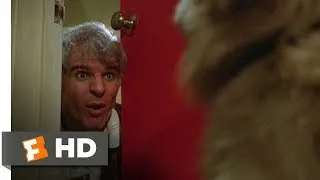 The Jerk (3/10) Movie CLIP - Don't Call That Dog Lifesaver (1979) HD