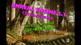 Unreal engine 5.1 DEMO Оптимизация Лес (Лето/зима) в 2К+RTX+HDR! Обзор 2023 Честно от СэнСэя!