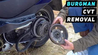 Suzuki Burgman 400: CVT Drive Belt, Variators, Clutch Removal - 2007-2016 | Mitch's Scooter Stuff